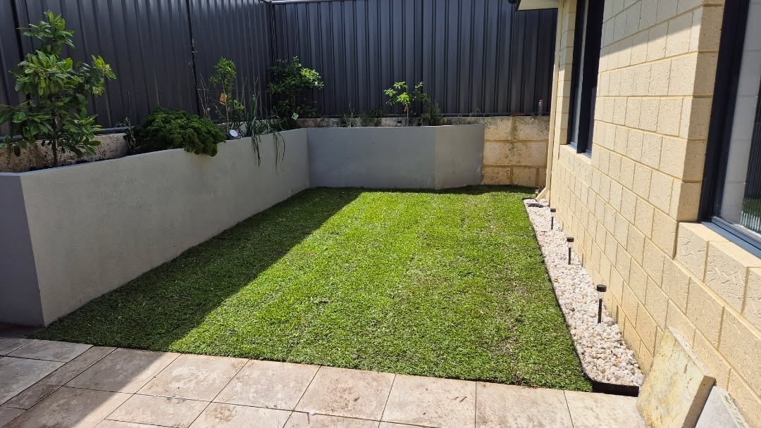 A well-watered lawn showing a working reticulation system