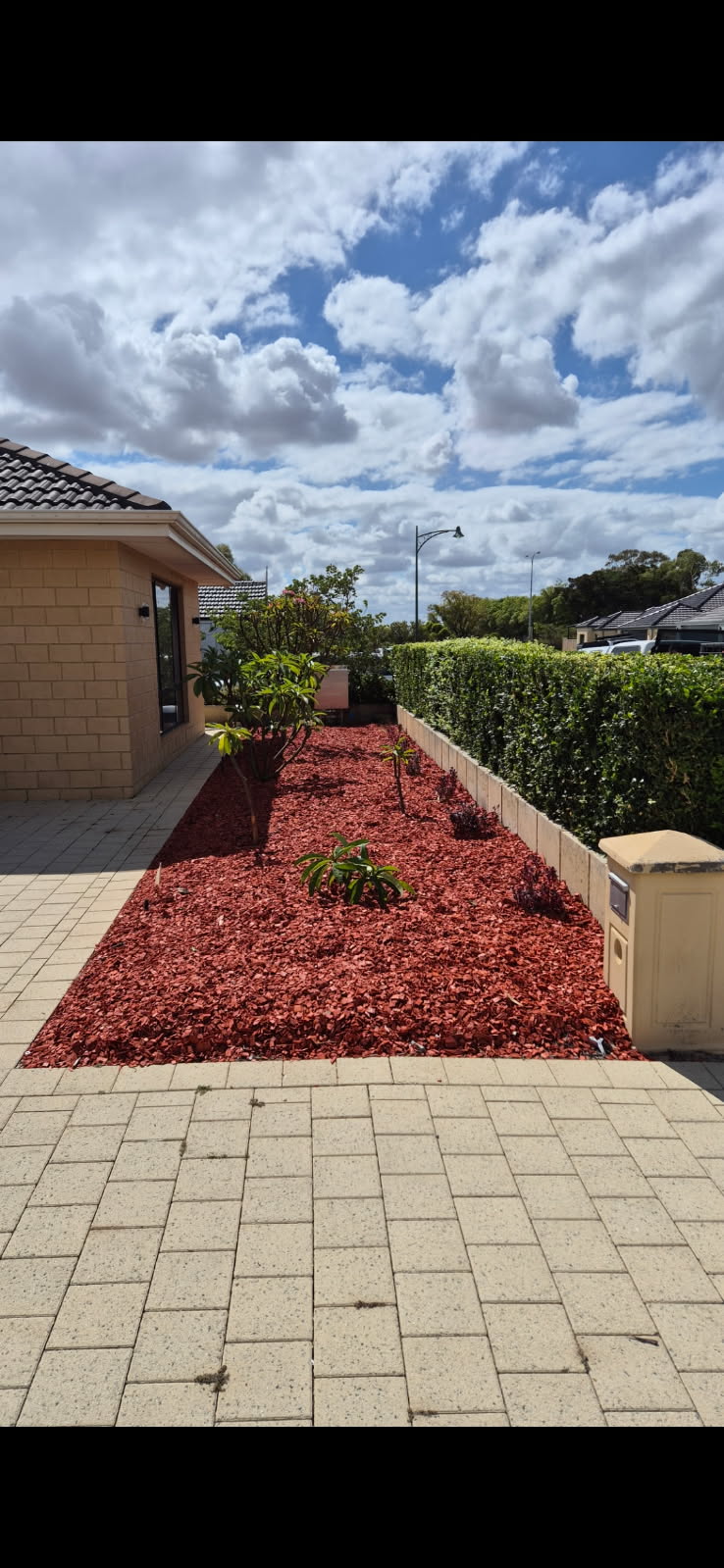 A freshly mulched garden bed with hedges under a bright sky