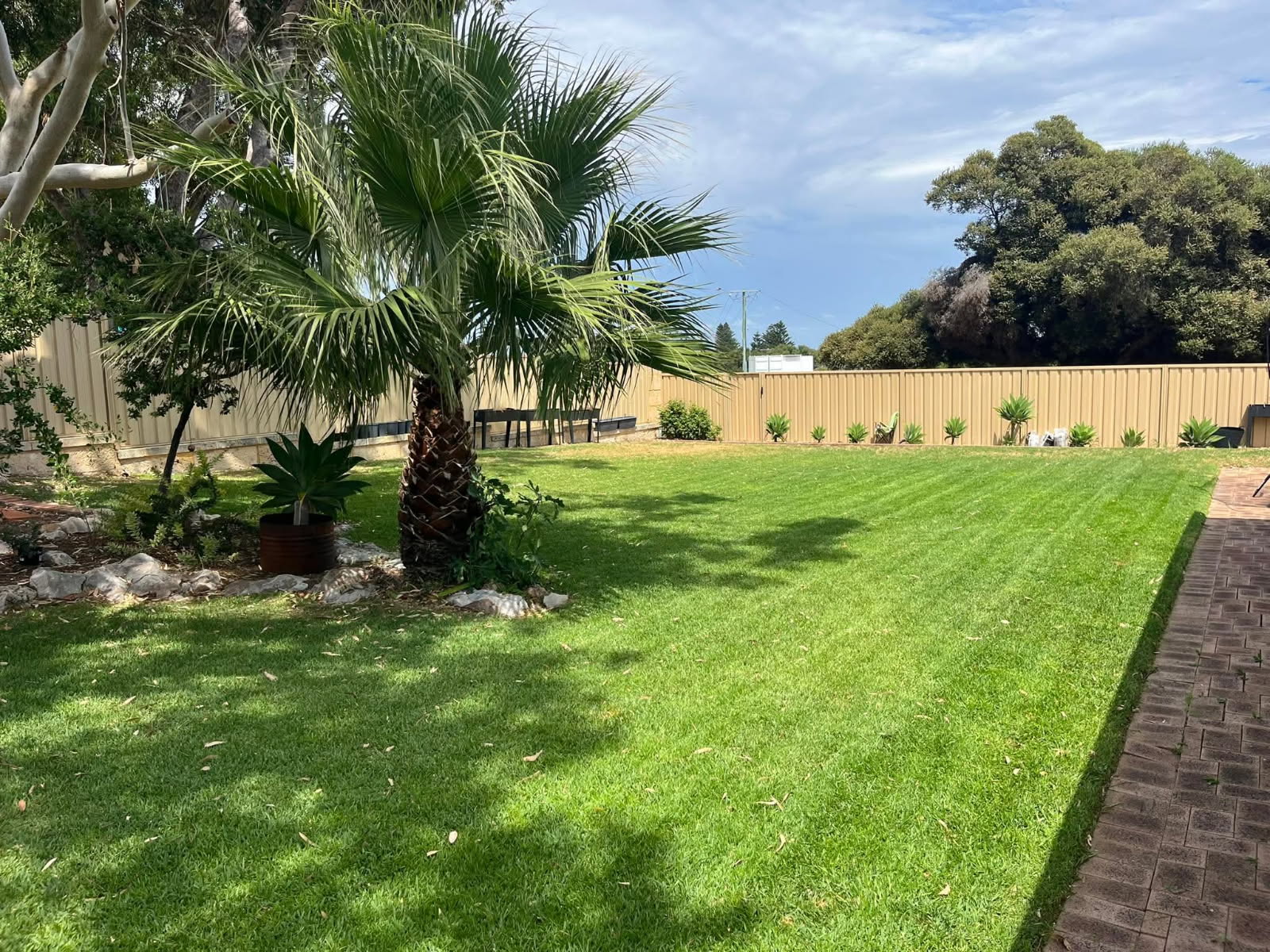 A lush green back garden with a palm tree — typical of the coastal Perth homes Lagoon Lawns & Gardens maintains
